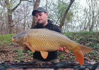 Ahoj všichni, přidávám něco málo z jarních vycházek po menších svazovkách v okolí, na řece Moravě se mi kapři zatím...