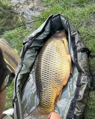 PĚKNÝ BUDÍČEK Ahoj, V druhé polovině prázdnin jsem si řekl, že vyběhnu na jednu noc, bylo po dešti a u vody minimum...