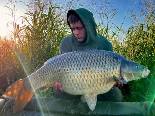 Ahoooj, krátké odpolední a noční vycházky na řeku Moravu jsou za mnou. Vše si sedlo na výbornou, ještě na konci prázdnin...
